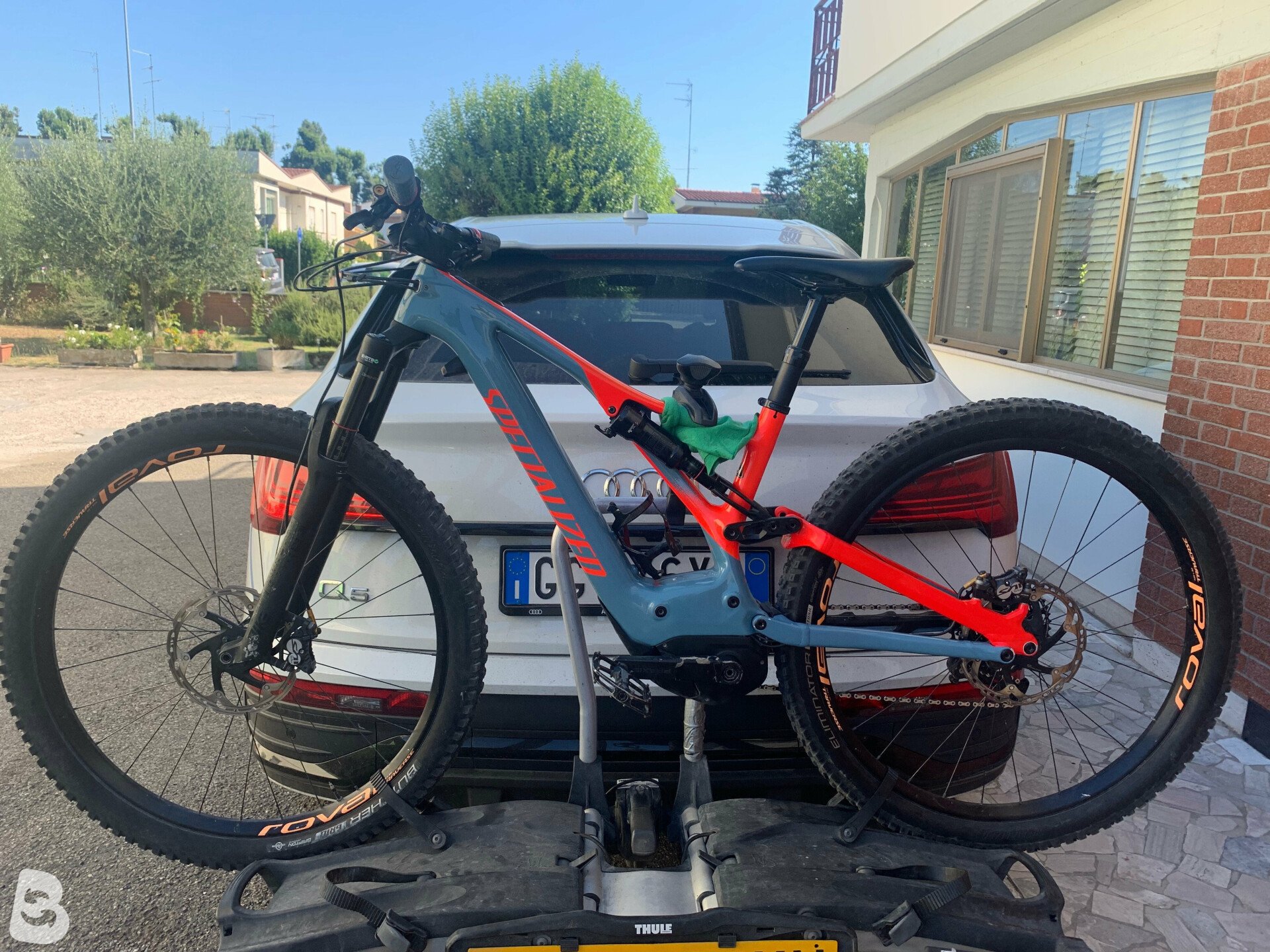 levo expert carbon 2019