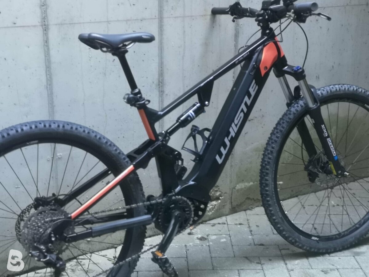 whistle ebike 2021