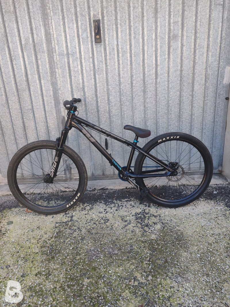 Canyon Stitched 360 Pro 2020 used