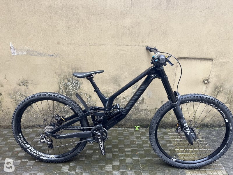 Sender CFR Underdog | CANYON JP
