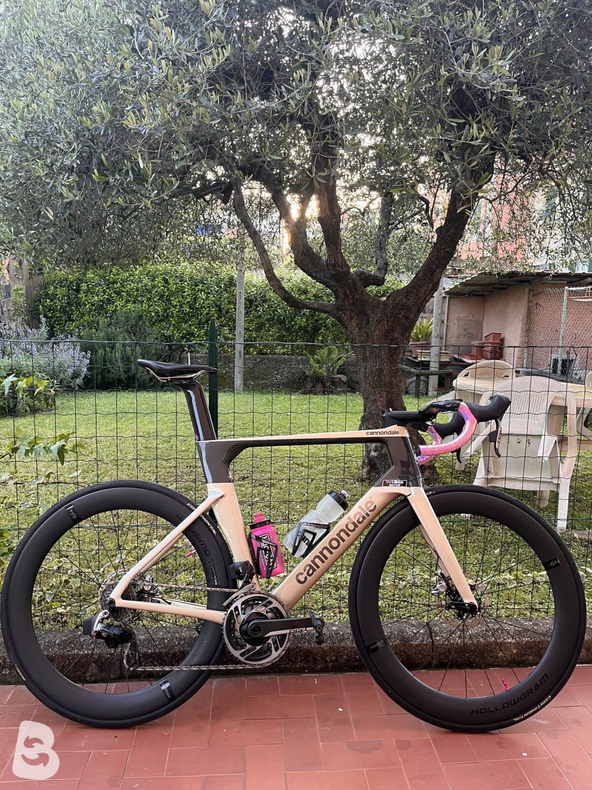 Systemsix rapha cheap