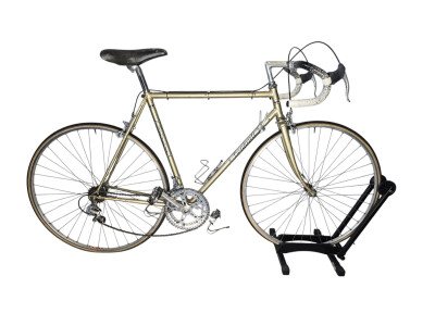 Bonfanti 1977