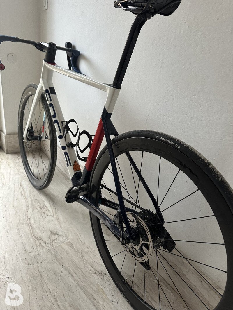 FOCUS IZALCO MAX DISC 8.8 エリートホイール付 FOCUS IZALCO