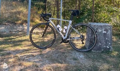 Specialized allez 2019