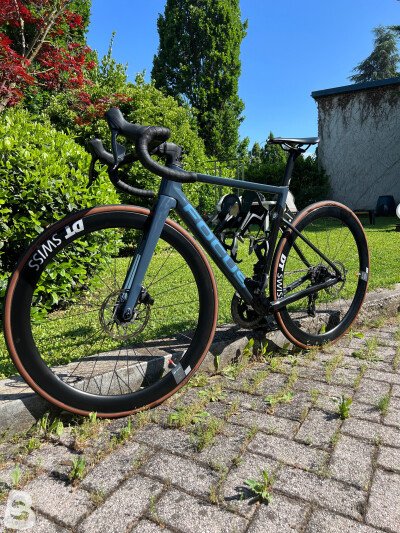 Focus IZALCO MAX DISC 9.7 2022 used