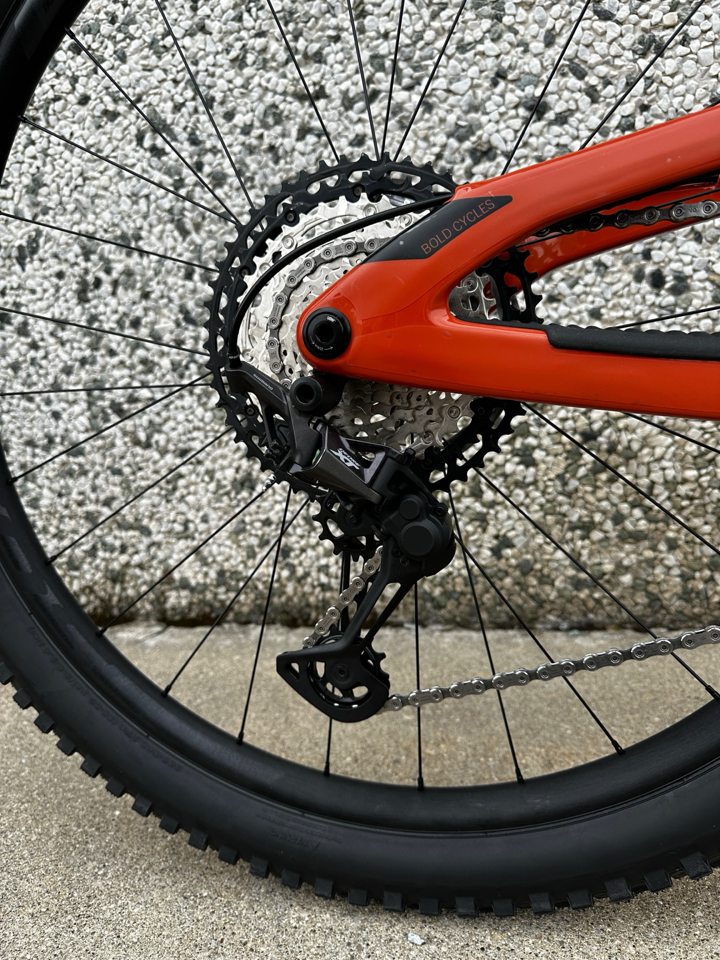 Bold Linkin PRO 150 2024 usata