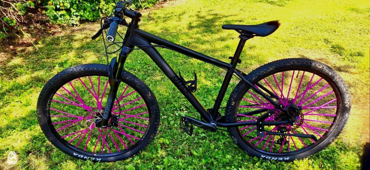 Rose count solo 2023 used