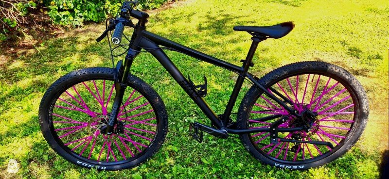 Rose count solo 2023 used