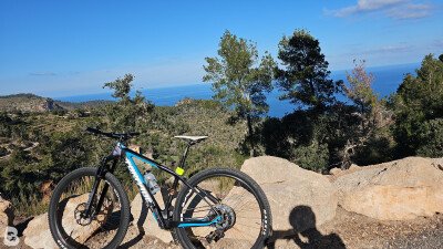 Torpado Ribot s 2015