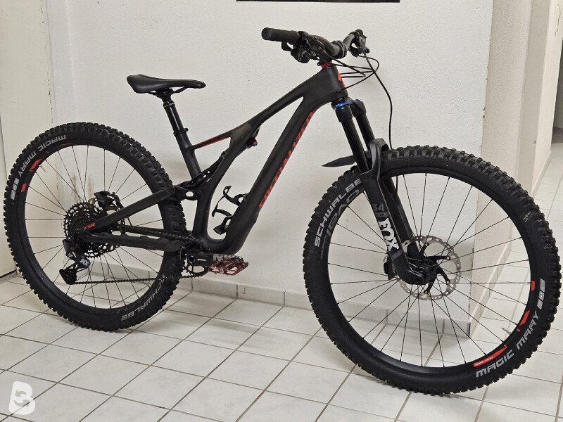 Specialized Stumpjumper 2019 usata