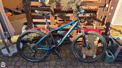 Bergamont Roxtar 5.0 2015