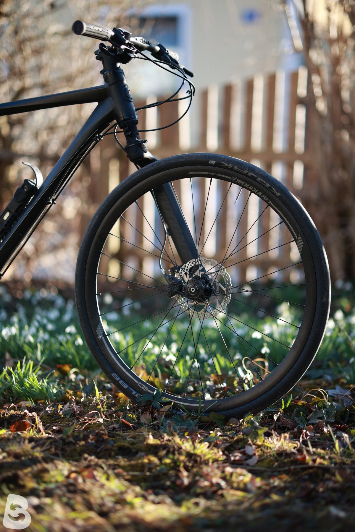 Cannondale Bad Boy 8 2014 used