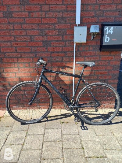 Bergamont Beluga Speed 2010