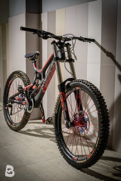 Santa Cruz V 10 2016