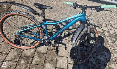 Cube Bikes Access WS Pro 2022